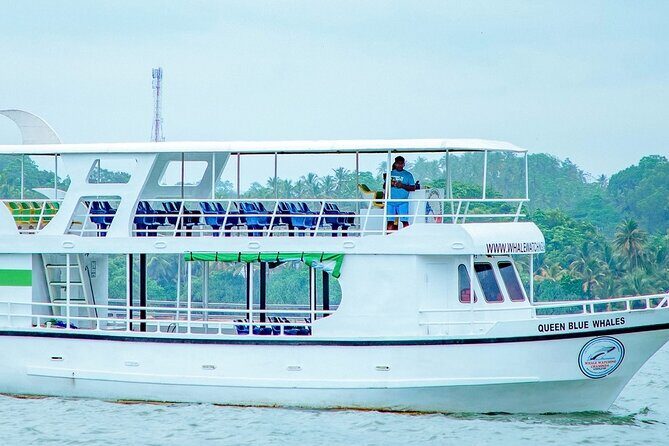 Whale Watching Mirissa Ultimate Tour in Sri Lanka with Breakfast - Key highlights worth knowing