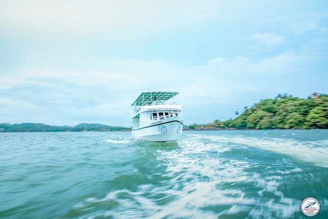Whale Watching Mirissa Ultimate Tour in Sri Lanka with Breakfast - The morning route: from Mirissa Fisheries Harbour out for sightings