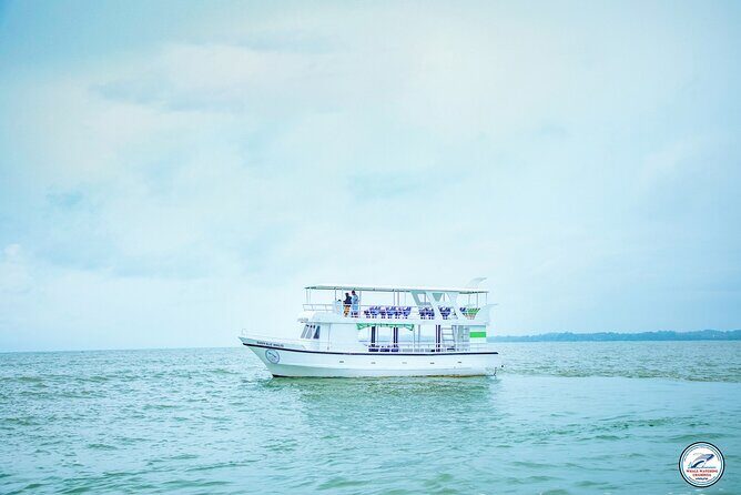 Whale Watching Mirissa Ultimate Tour in Sri Lanka with Breakfast - Price and value: $44 with breakfast, snacks, and real onboard extras