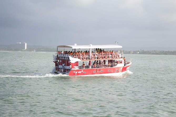Whale Watching Mirissa with Eagle Eye - Trimaran Comfort and Responsible Distance on a 70-Guest Max Boat