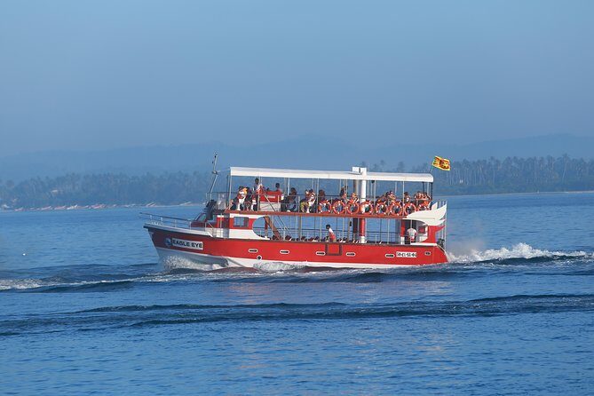 Whale Watching Mirissa with Eagle Eye - The 4-Hour Search: How the Day Flow Works at Sea
