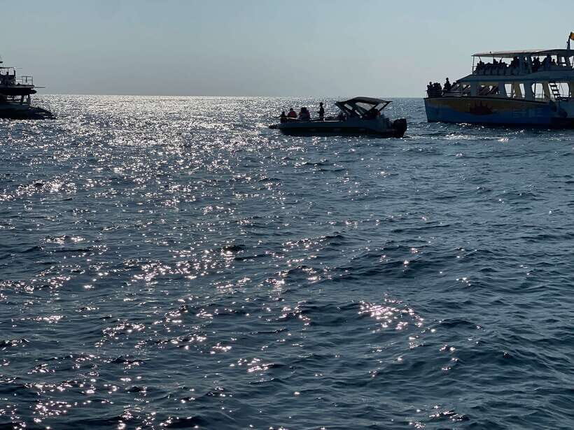 Whale Watching Tour with Transfers - The Mirissa Stops: Breakfast, Break Time, and a Short Walk