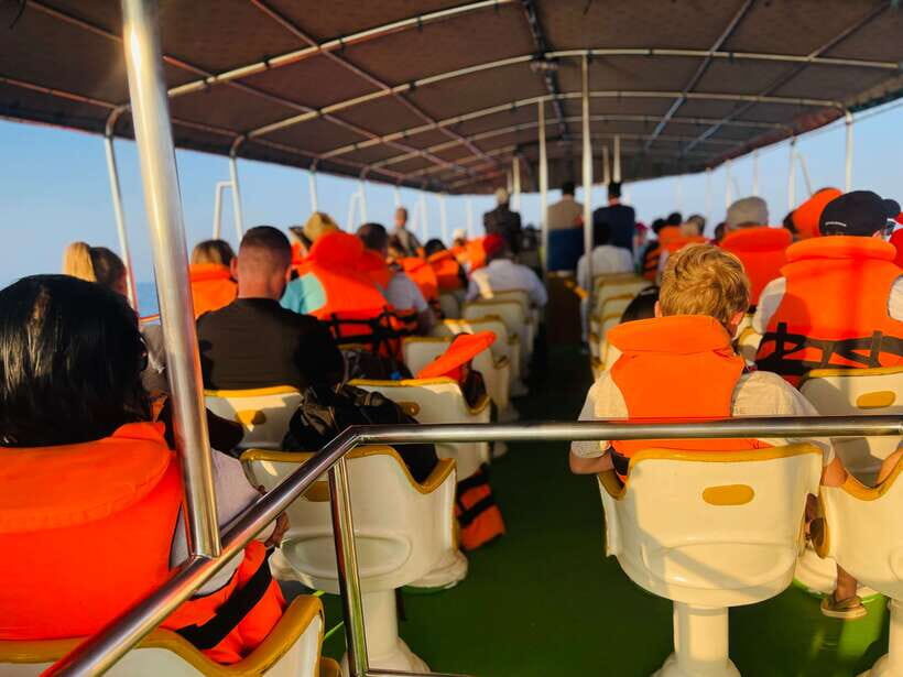 Whale Watching Tour with Transfers - Who This Trip Suits Best (And Who Should Be Cautious)