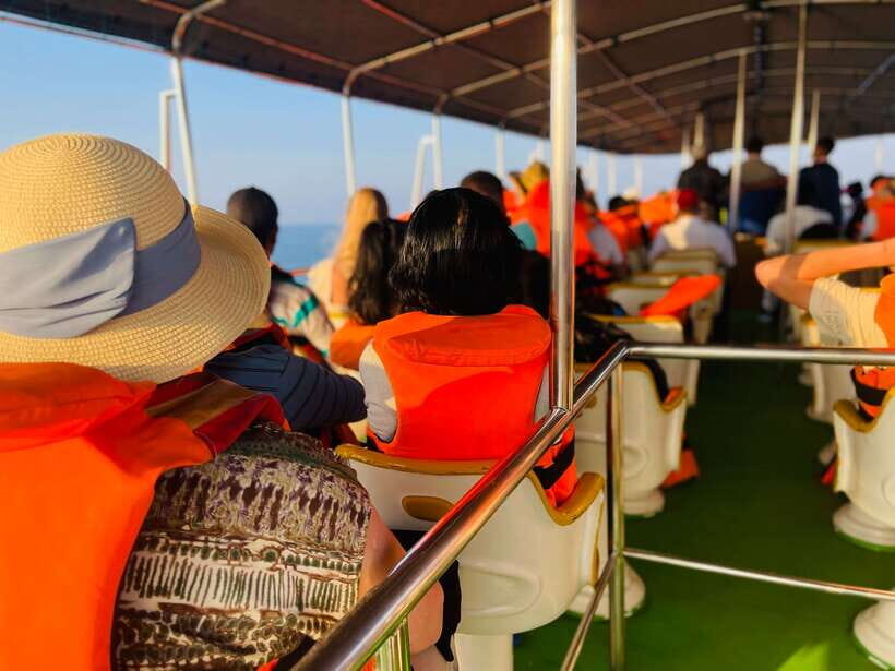Whale Watching Tour with Transfers - Mirissa Harbor to Open Water: What the 3–5 Hour Cruise Feels Like