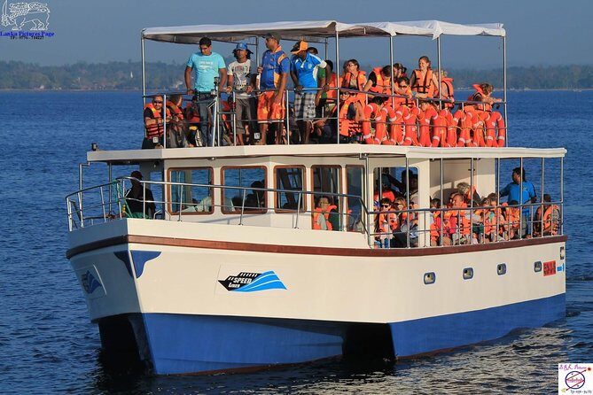 Whales and Dolphins Watching Mirissa - Weather and whale chances: manage expectations, not enthusiasm