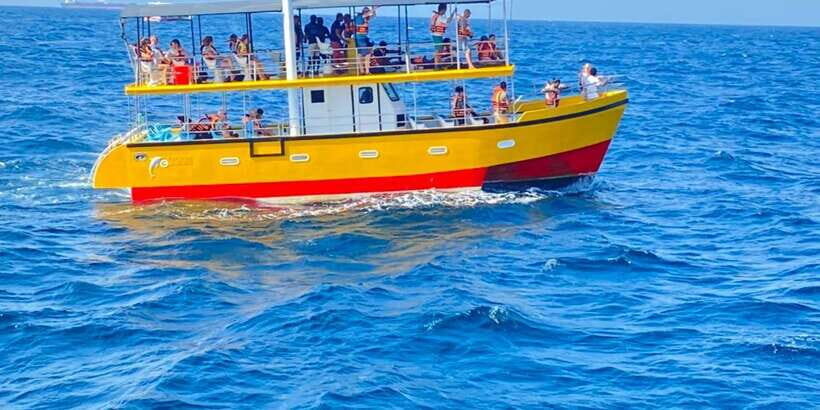 Whales & Dolphin Watching with The Pioneers - Why Mirissa Sea Trips Start So Early
