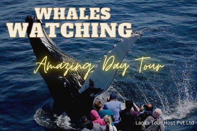 Whales Watching Mirissa Day Tour - Kosgoda Sea Turtle Conservation Project: seeing why protection matters