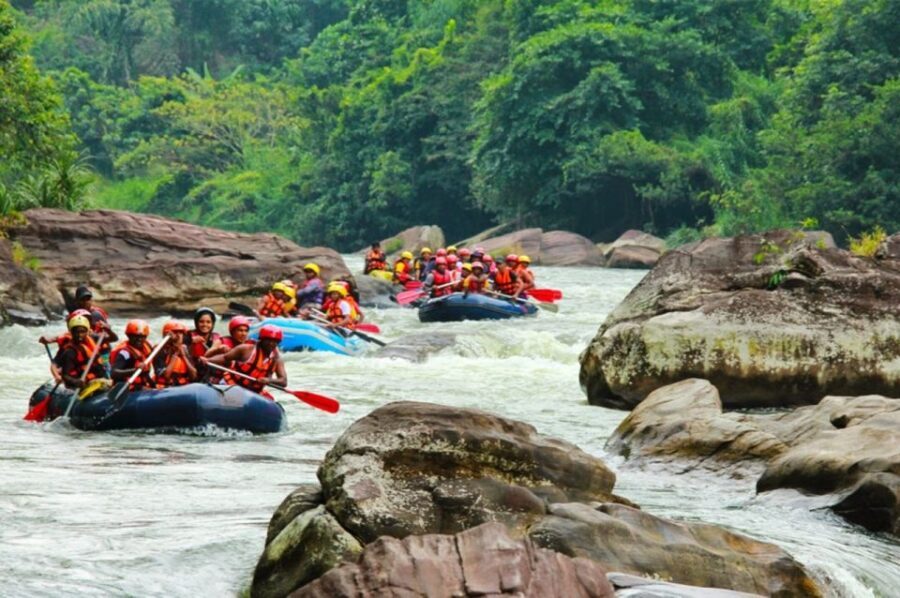 White Water Rafting in Kitulgala - What’s included for your $24, and why the value feels fair