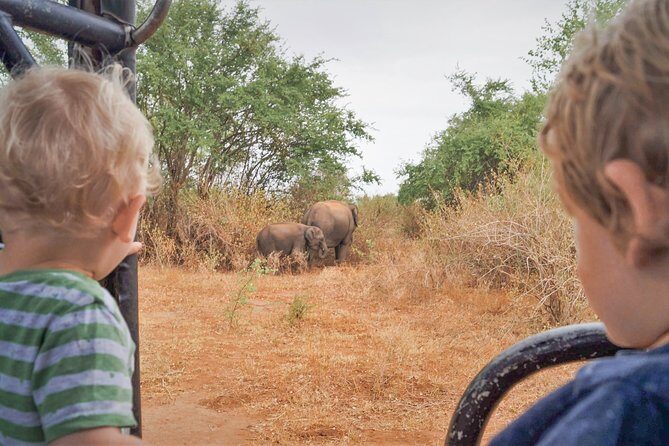 Wild Elephant Safari in Minneriya National Park - Minneriya wildlife in 3 hours: early mornings and elephant-bath afternoons