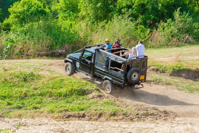 Wild Elephant Safari in Minneriya National Park - Tickets and price: the choice that changes what you actually pay