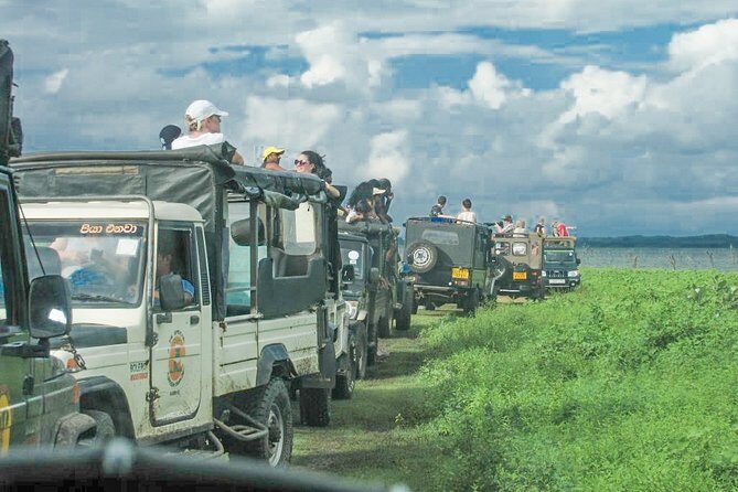 Wild Elephant Safari in Minneriya National Park - A small real-world hiccup: when the ticket machine fails