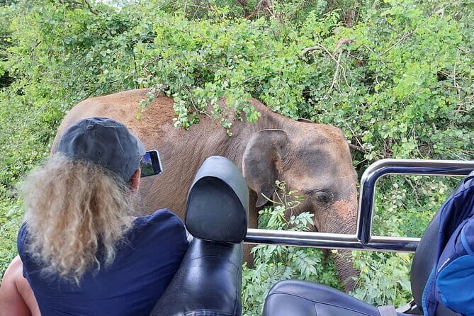 Wildlife Safari Yala National park - Key highlights you’ll care about