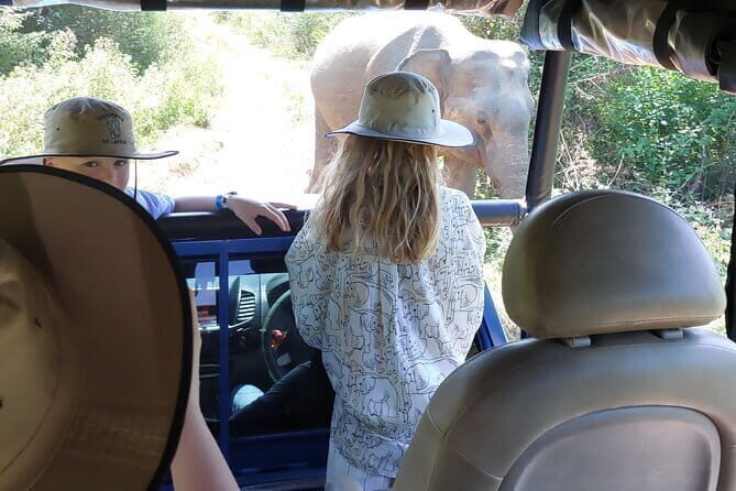 Wildlife Safari Yala National park - Yala National Park safari: what you’re really chasing