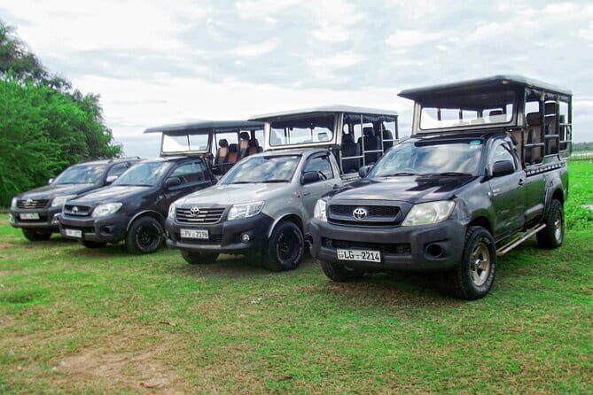 Wildlife Safari Yala National park - How to set your expectations for a great safari day