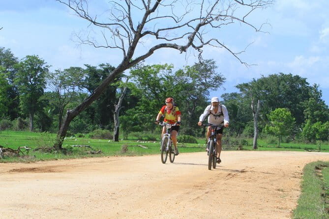 Wilpattu Half Day Safari From Anuradhapura - Getting into Wilpattu: where permits and the guide come in