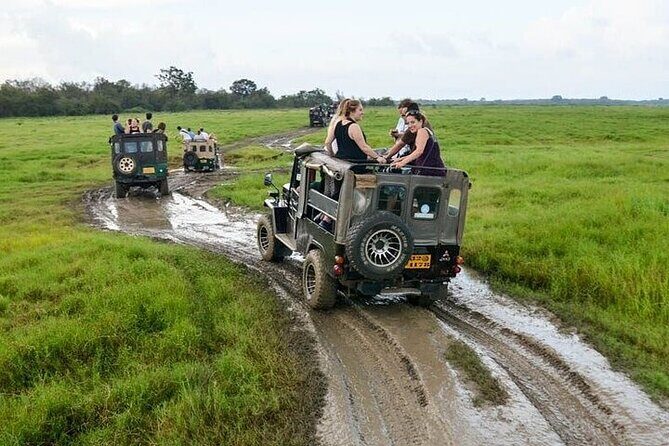 Wilpattu National Park Jeep Safari from Negombo / Waikkal (All Inclusive) - Food, water, and a long day that doesn’t wreck you