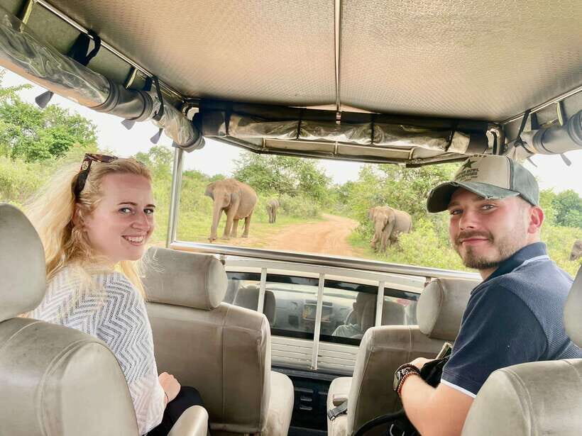 Wilpattu National Park Safari Guided by NATURALIST / RANGER - Sunset drives and scenic passes: how the later hours can change the odds