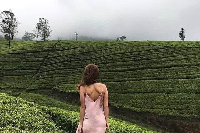 Wonderful Srilankan 14 Days Tours - How this 14-day Sri Lanka plan works day to day