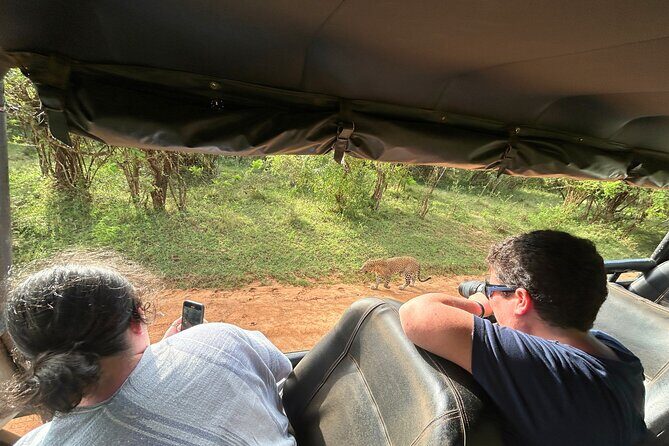 Yala 4h Jeep Safari: Guided Wildlife Experience (All Inclusive) - The best wildlife targets: leopards, elephants, crocodiles, and the rest