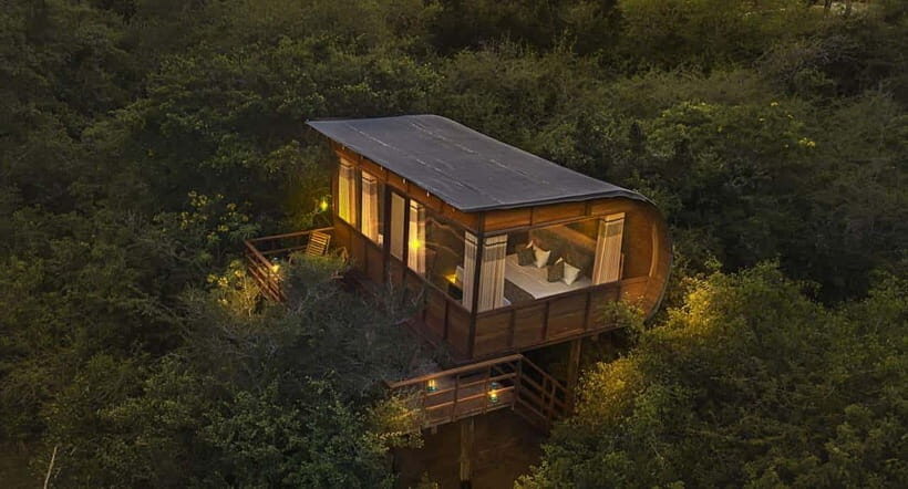 Yala: All Inclusive Overnight Glamping and Safari - Key Things You’ll Actually Feel During This Tour