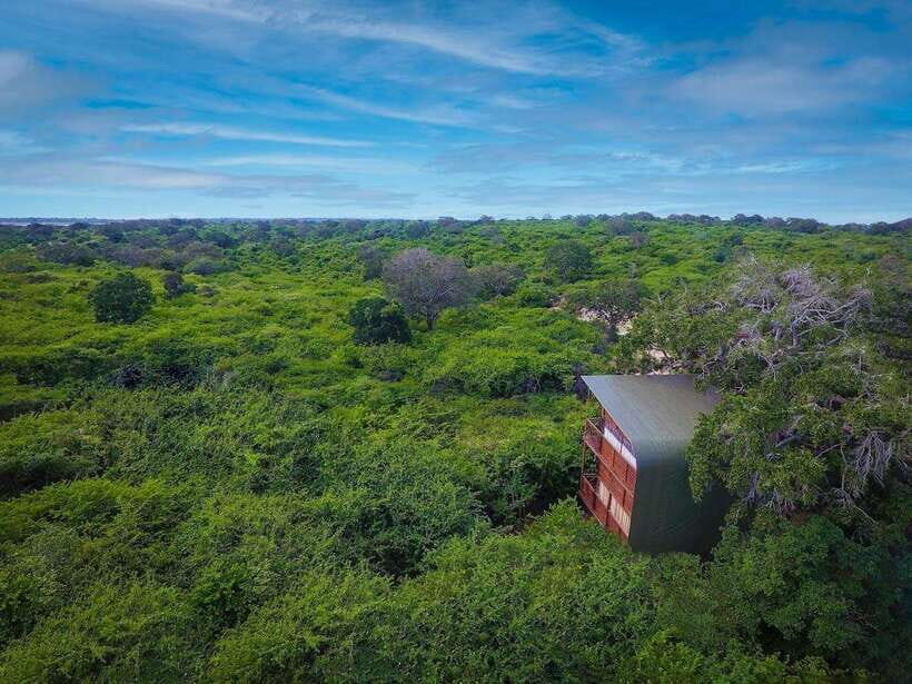 Yala: All Inclusive Overnight Glamping and Safari - The Morning Jeep Safari: Half-Day Wildlife, Built Around Results