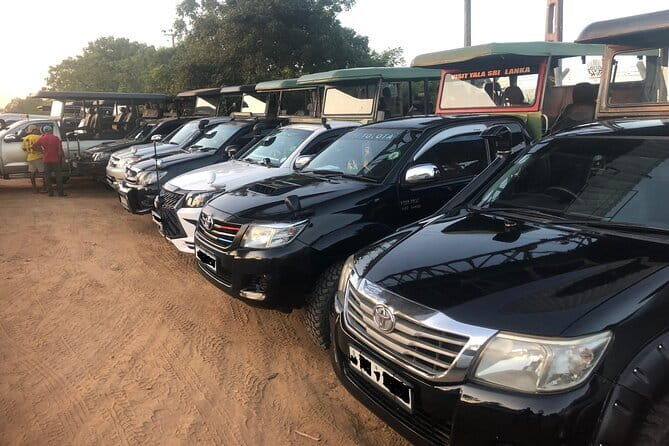 Yala and Udawalawa Safari Tour From Hambantota port - From Hambantota Port to Yala: simple start, real safari energy