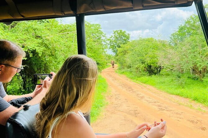 Yala Best Extended Half Day Safari By Ceylon Leopard Safari - Your guide is the product: Thushara, Udayanga, and Nilupul’s style