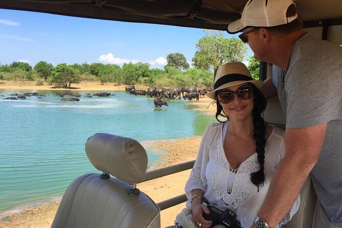 Yala Full Day Safari with Picnic Lunch - Private & All Inclusive - Key highlights worth knowing