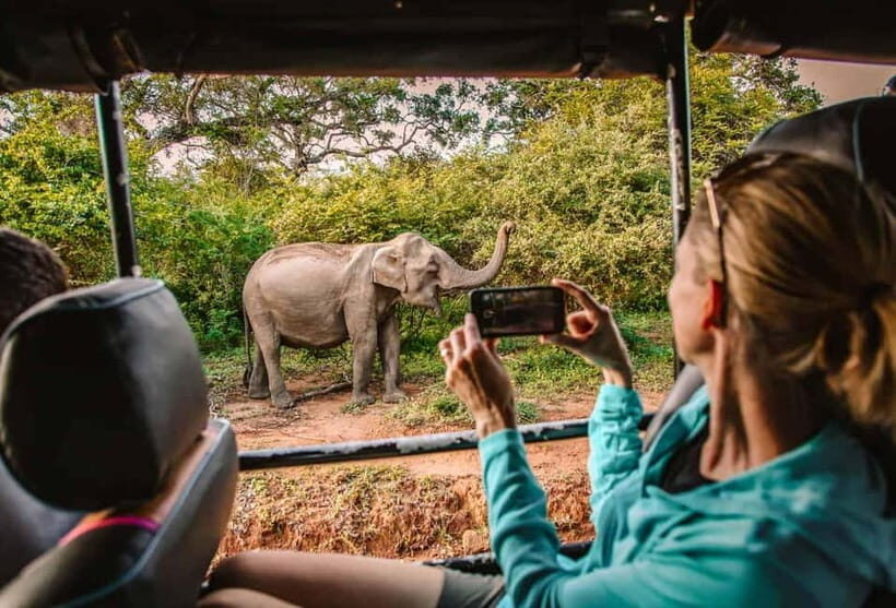 Yala Jeep Safari Tours – Including Entrance Tickets - Key points to know before you go