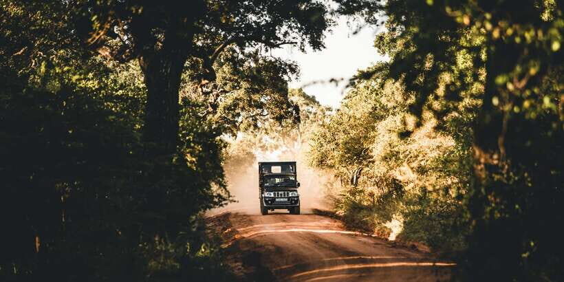 Yala: Morning or Afternoon All-inclusive Private Safari - From Hambantota or Tissamaharama Into Yala’s Wild Zone