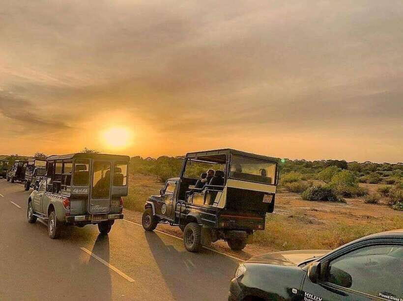 Yala National Park: 7 hour & 12 hour Leopard Safari Tours - Who this safari fits best