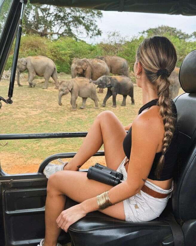 Yala National Park: 7 hours or 12 hours Leopard Wild Safari - How the guiding works once you’re in Yala