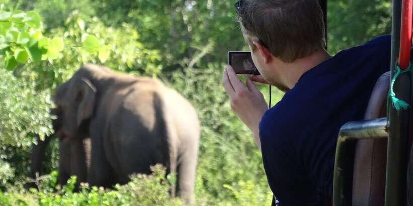 Yala National Park: All Inclusive Full-Day Safari with Lunch - All-inclusive flow: pickup, jeep ride, and a full 12-hour day