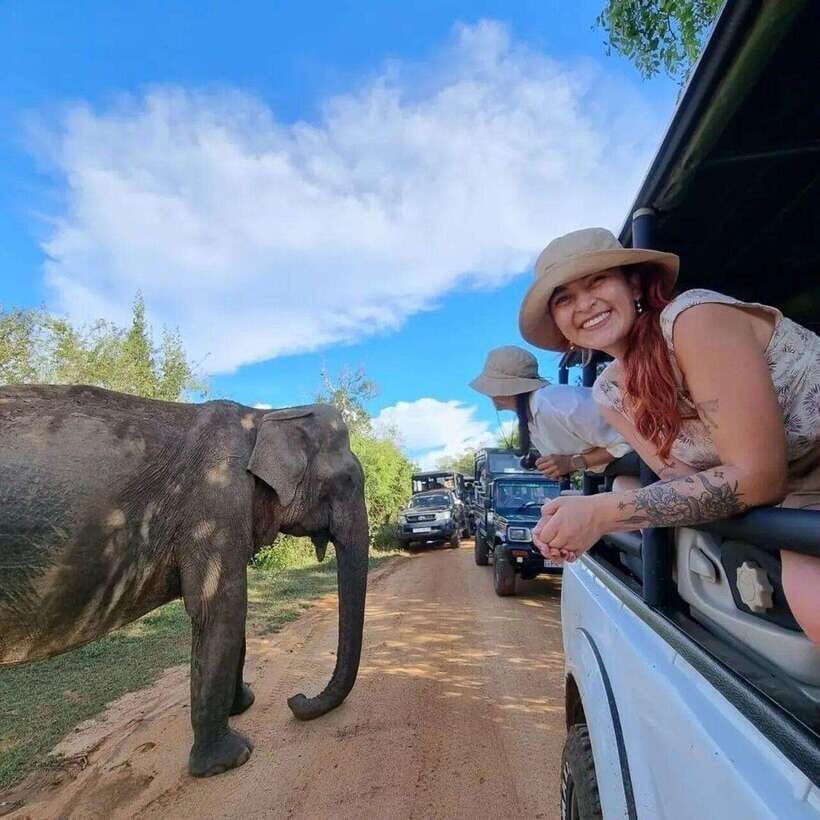 Yala National Park: All Inclusive Private Safari Day Trip - Yala Safari: Why This Park Feels Built for Leopard Spotting