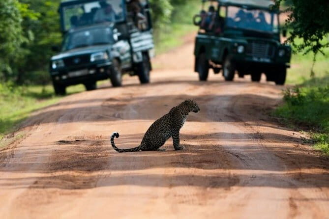 Yala National Park (Day Tour) - How hotel pickup and air-conditioned transport change the day