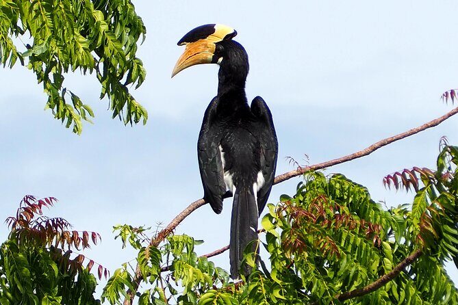 Yala National Park Half Day / Full Day Special Safari Tours - Historical stops inside Yala: a welcome change of pace