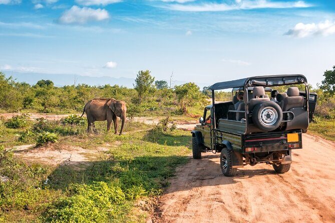Yala National Park Half Day / Full Day Special Safari Tours - Price and value: $22 tour fare plus $37 park entrance