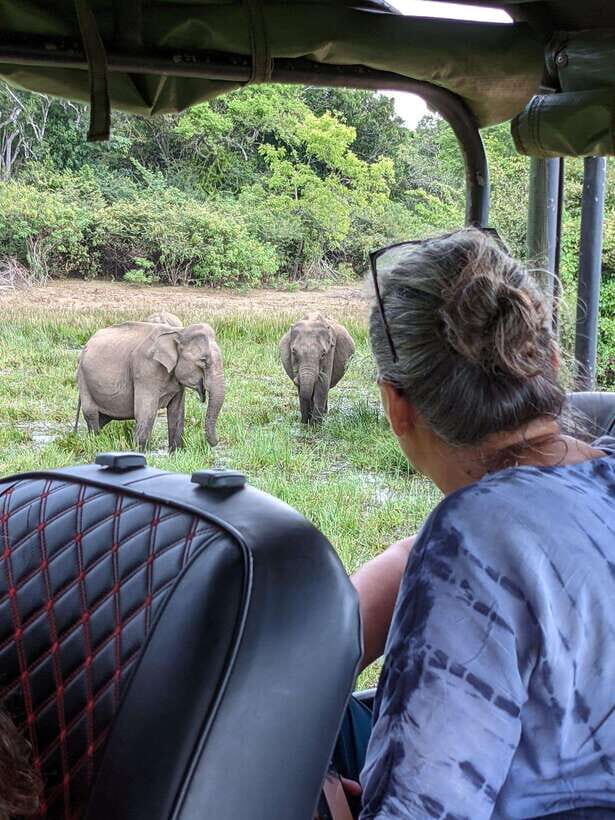 Yala National Park: Half Day or Full Day Leopard Safari Tour - Pickup in Kirinda, Kataragama, or Tissamaharama
