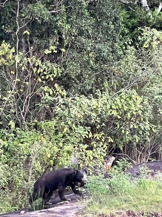 Yala National Park Half Day Safari - The route and stops: what the ride and photo moments add up to