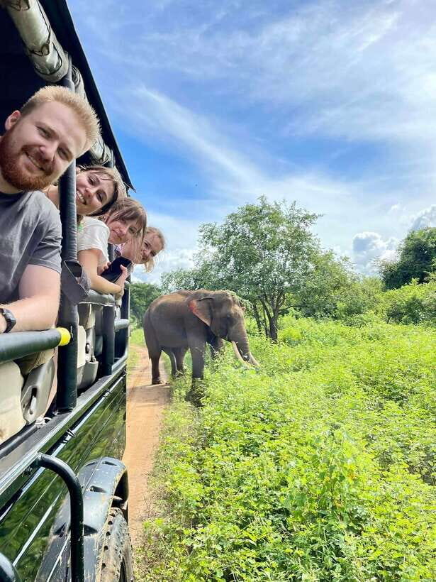 Yala National Park Jeep Safari: Leopards, Elephants & Wild - Price and value: is $15 worth it after the park fee?