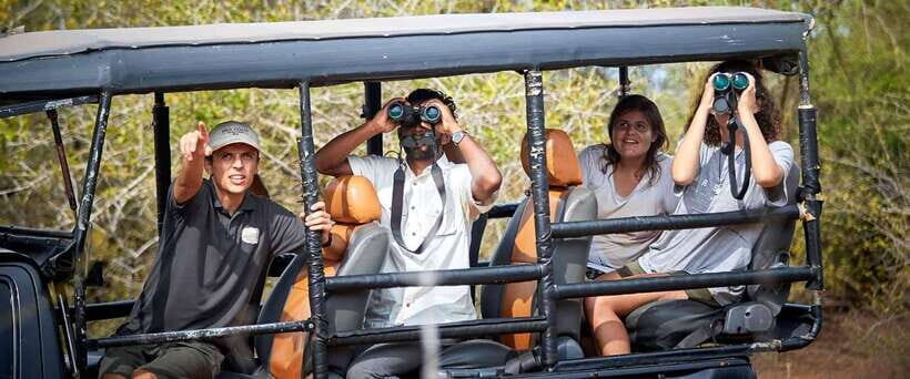 Yala National Park Jeep Safari: Leopards, Elephants & Wild - Getting to Yala: pickup towns, drive time, and how to prep
