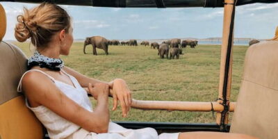 Yala National Park: Leopard Safari Full day tour with Lunch - The Pickup Game Plan: Yala, Tissamaharama, and More