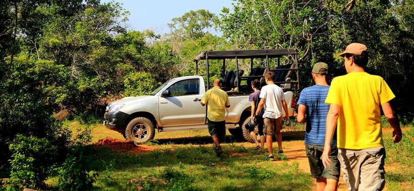 Yala National Park: Leopard Safari Tour with Park Tickets - What your day will look like (and what can vary)