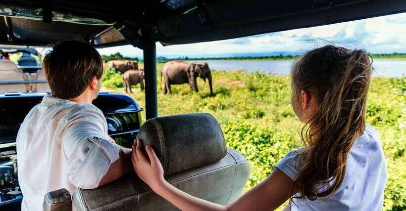 Yala National Park: Leopard Safari Tour with Park Tickets - Yala at first light: what this safari experience feels like
