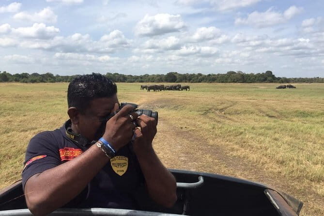 Yala National Park Private Jeep Safari From Colombo & Negombo - What you might see in Yala (and what to expect if you don’t)