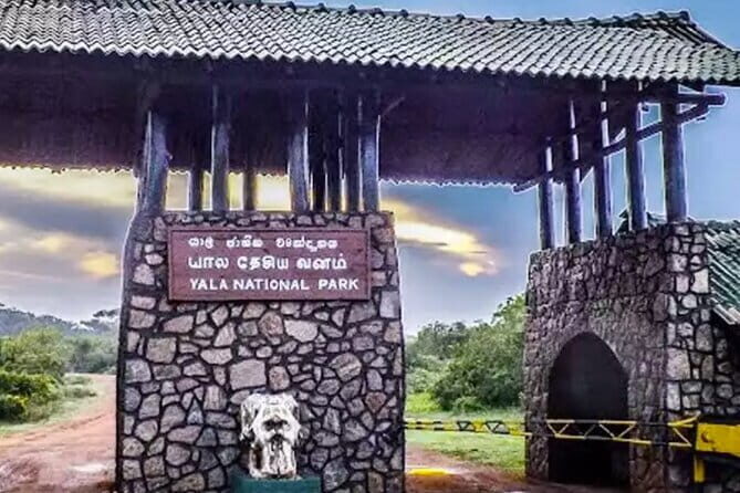 Yala National Park Private Jeep Safari From Colombo & Negombo - Food, snacks, and small comfort wins that matter
