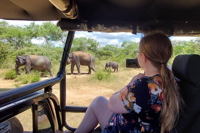Yala National Park Private Jeep Safari From Colombo & Negombo - Price and value: what $250 buys you in real life