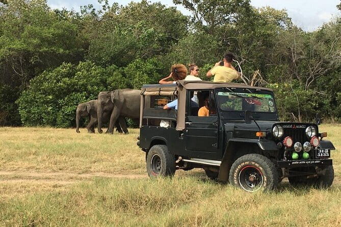 Yala National Park Private Jeep Safari From Colombo & Negombo - Safety and jeep condition: the one area to verify
