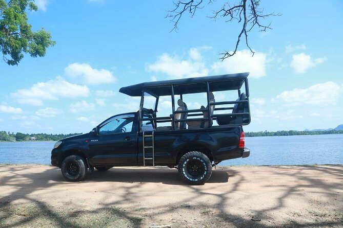 Yala National Park Private Safari - Wildlife targets you can plan around (not just hope for)