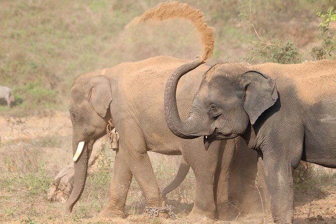 Yala National Park Private Safari (All Inclusive) From Mirissa - Key highlights you’ll care about